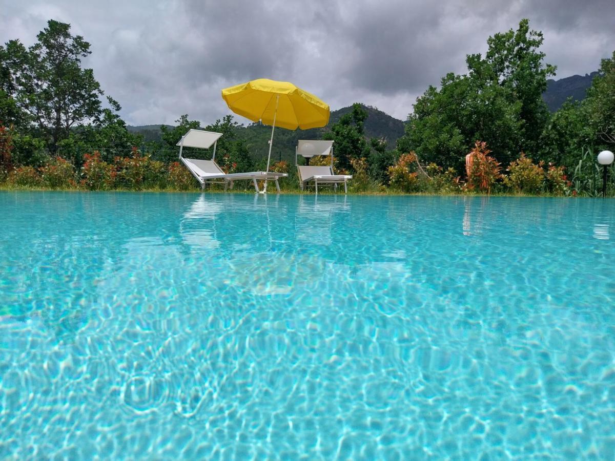 Guest house Rosa *